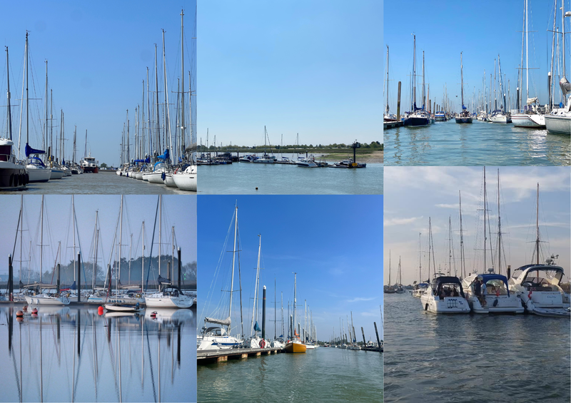 harbour tour collage.png